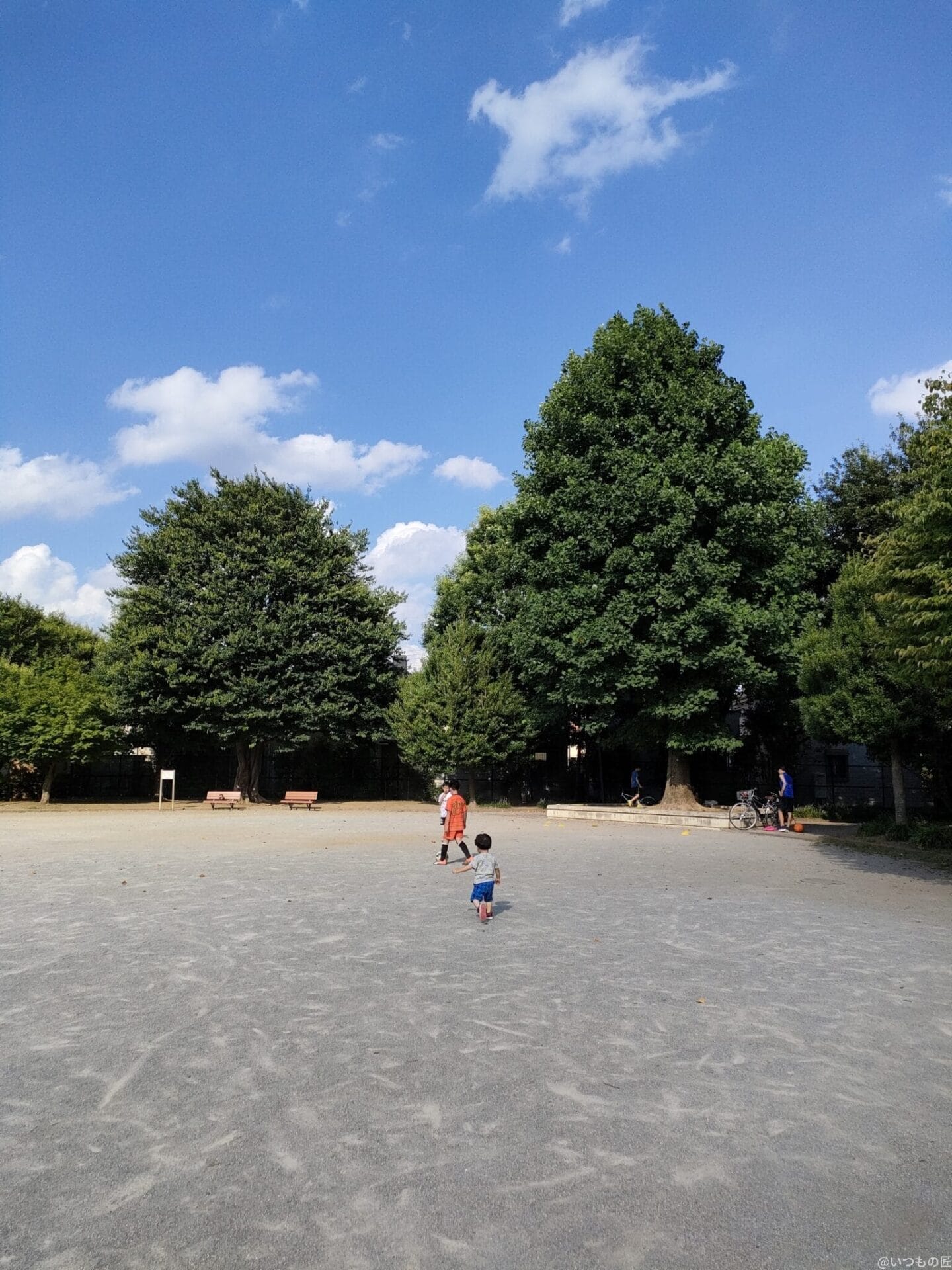 公園