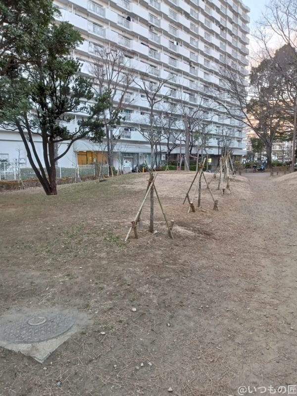 近所の公園写真