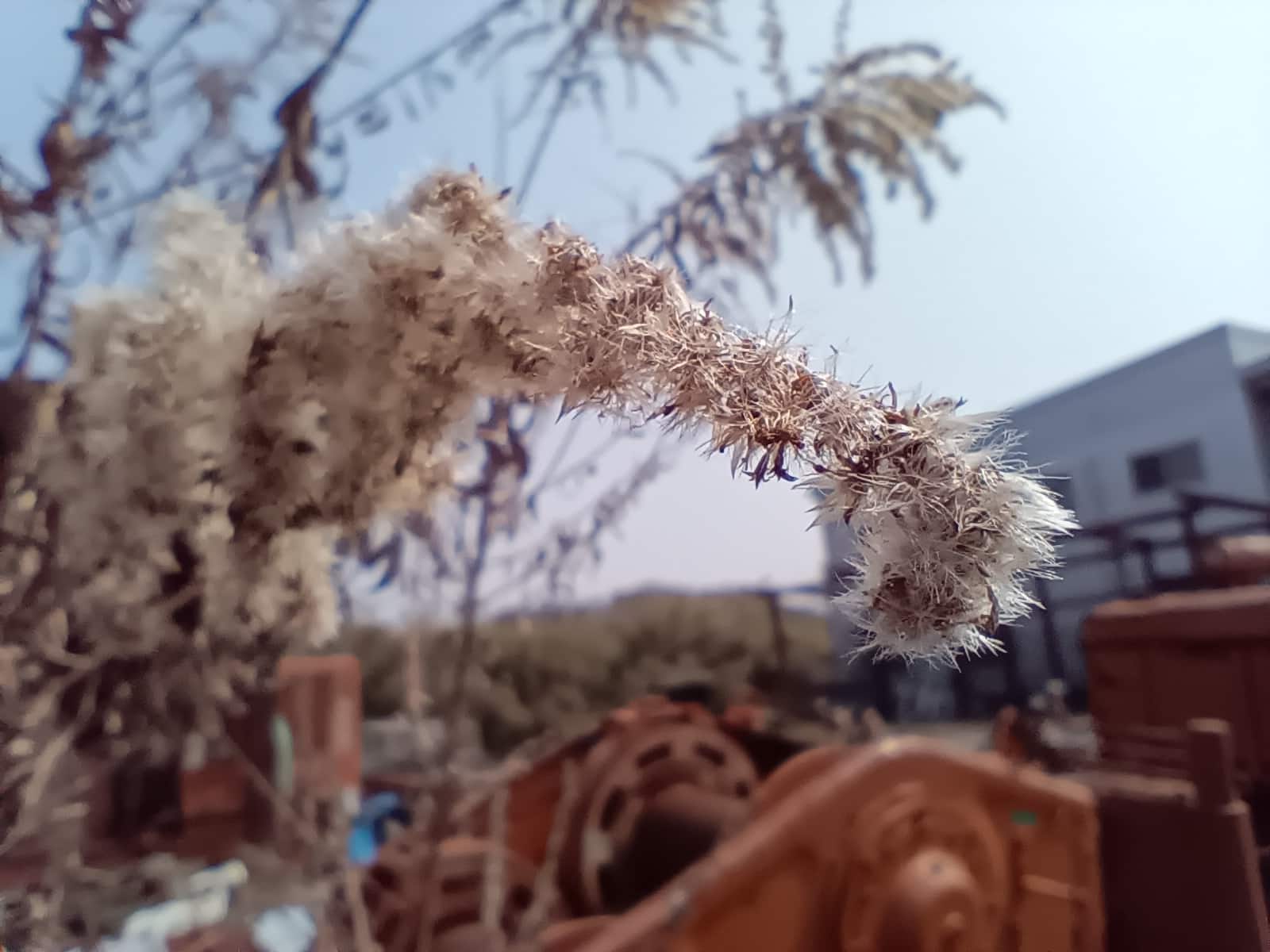 Libero 5G Ⅲ(リベロ5G3)の被写界深度カメラで撮影できるクオリティをユーザーに伝えるためのレビュー写真