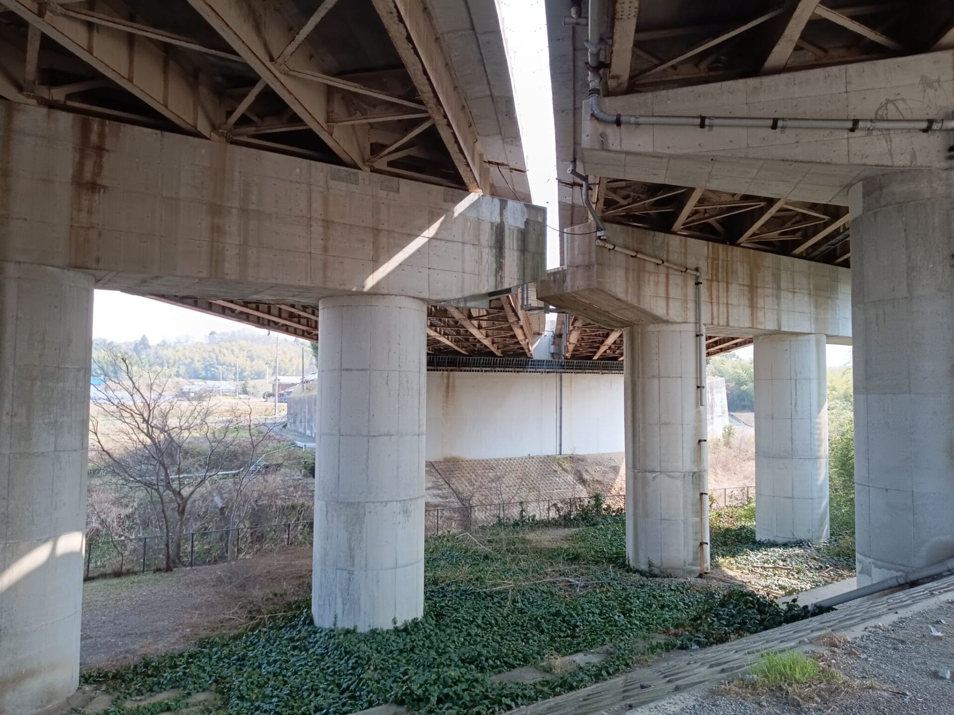 Libero 5G Ⅲ（リベロ5G3）のメインカメラで撮影した風景写真②