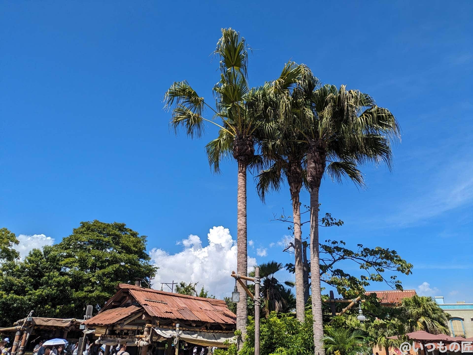 Google Pixel 7aの風景作例1