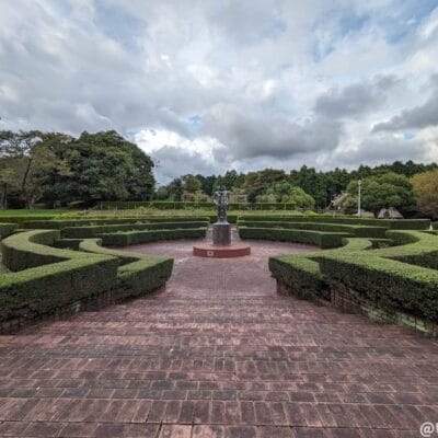 超広角カメラ（光学ズーム0.5倍）