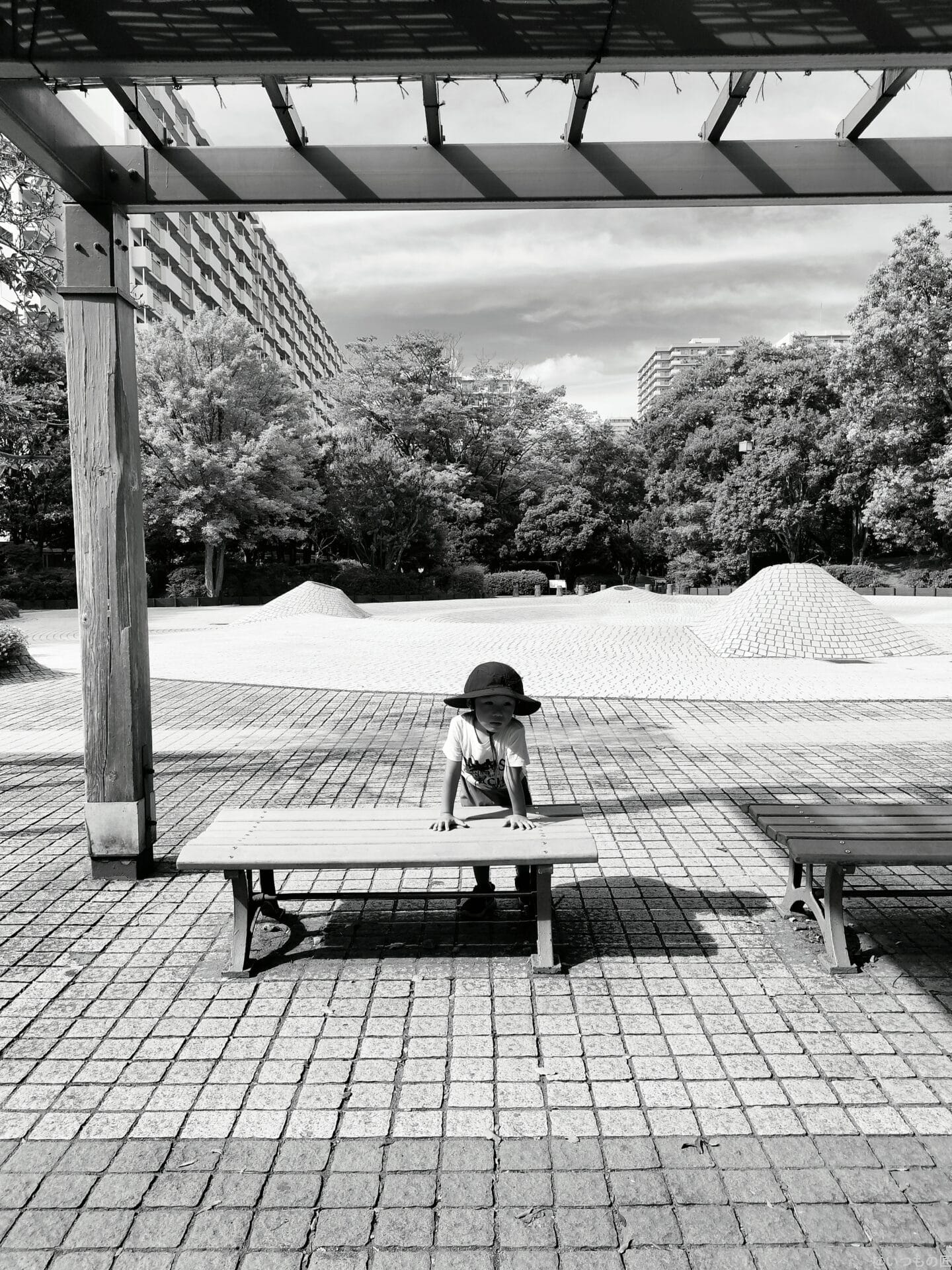 img20230903143734 | モバイル比較レビュー.jp OPPO Reno9 A人物撮影 作例8