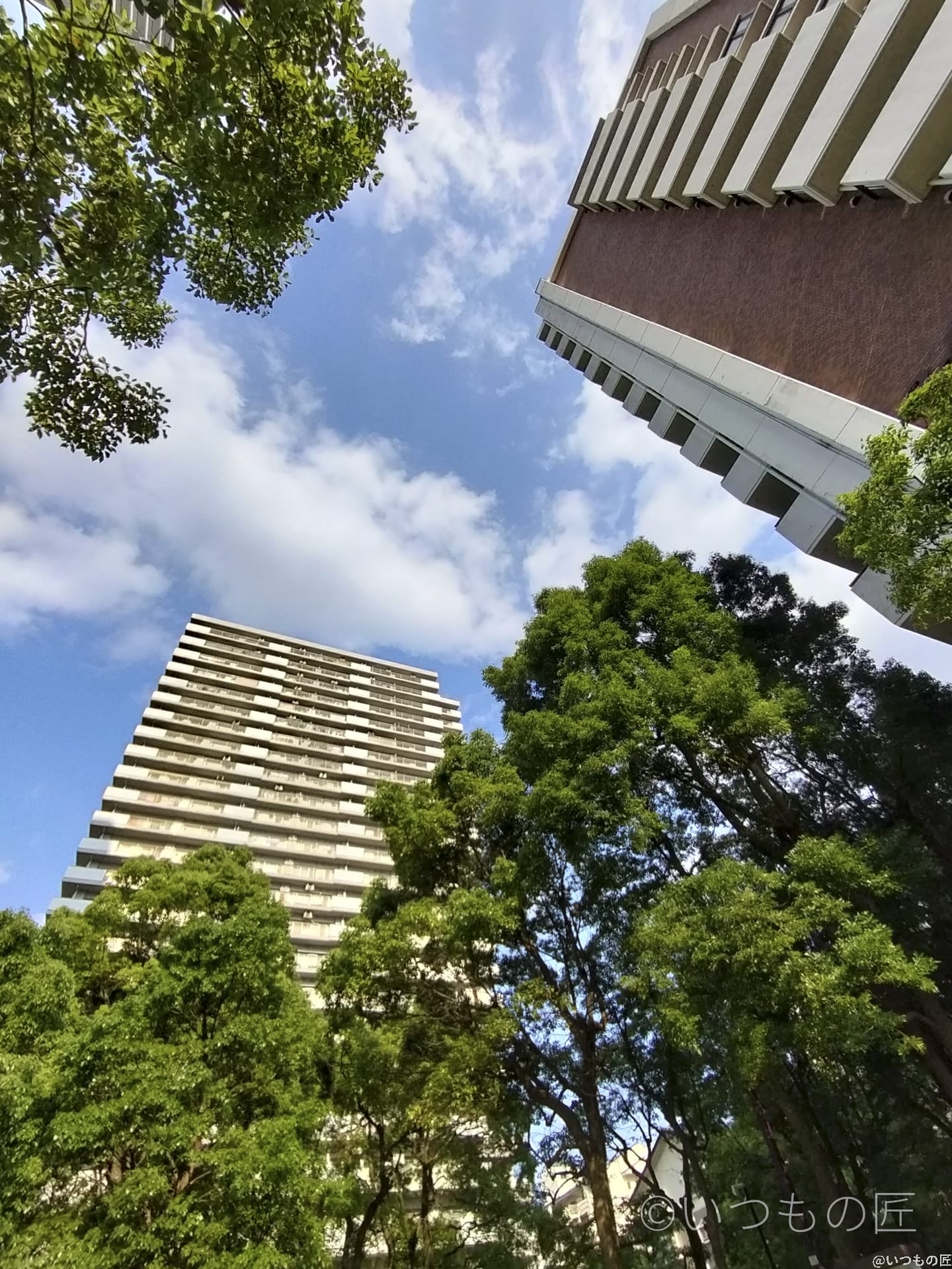 opporeno9a-photo-1 | モバイル比較レビュー.jp OPPO Reno9 A 風景写真の作例1