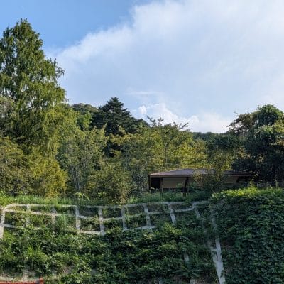 google pixel 9 pro xl のカメラでhdr撮影した写真 | モバイル比較レビュー.jp Google Pixel 9 Pro XL カメラ Google Pixel 9 Pro XL でHDR撮影した写真