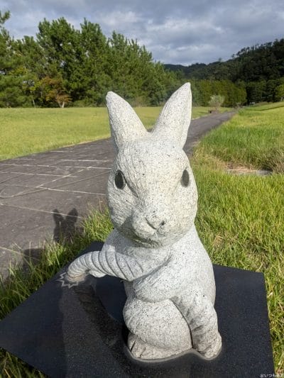 google pixel 9 pro のインカメラでズーム撮影した写真 | モバイル比較レビュー.jp Google Pixel 9 Pro カメラ Google Pixel 9 Pro のインカメラでズーム撮影した写真