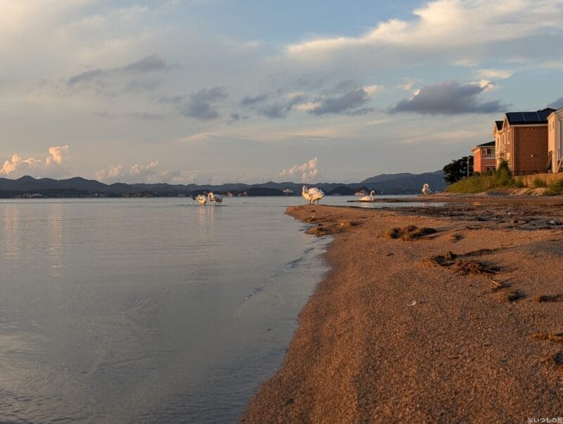 google pixel 9 proのカメラでズーム撮影した風景写真 | モバイル比較レビュー.jp Google Pixel 9 Pro カメラ Google Pixel 9 Pro でズーム撮影した風景写真