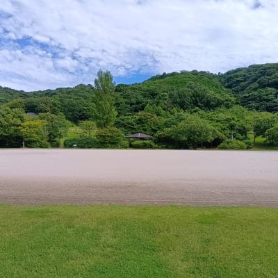 aquos wish4 で撮影した風景写真 | モバイル比較レビュー.jp AQUOS wish4 カメラ AQUOS wish4 で撮影した風景写真