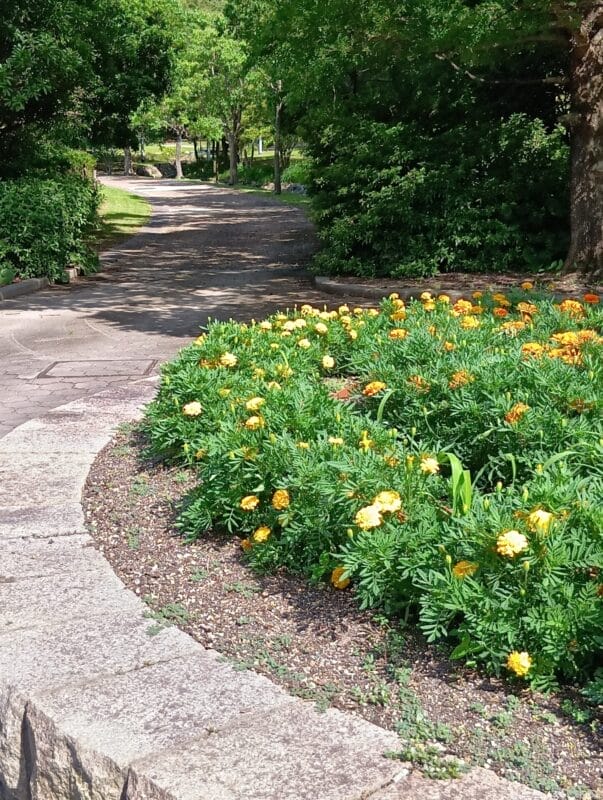 aquos wish4 で撮影した風景写真 | モバイル比較レビュー.jp AQUOS wish4 カメラ AQUOS wish4 で撮影した風景写真