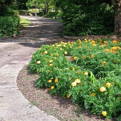 aquos wish4 で撮影した風景写真 | モバイル比較レビュー.jp AQUOS wish4 カメラ AQUOS wish4 で撮影した風景写真