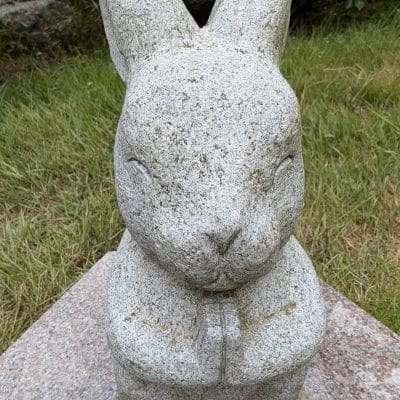 google pixel 9 のインカメラで撮影した写真 | モバイル比較レビュー.jp Google Pixel 9 カメラ Google Pixel 9 のインカメラで撮影した写真