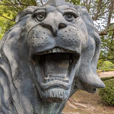 google pixel 9 のインカメラで撮影した写真 | モバイル比較レビュー.jp Google Pixel 9 カメラ Google Pixel 9 のインカメラで撮影した写真