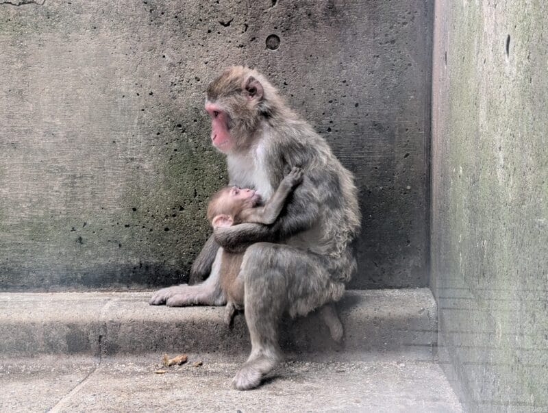 google pixel 9 で撮影した風景写真 | モバイル比較レビュー.jp Google Pixel 9 カメラ Google Pixel 9 で撮影した風景写真