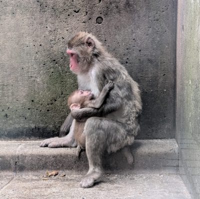 google pixel 9 で撮影した風景写真 | モバイル比較レビュー.jp Google Pixel 9 カメラ Google Pixel 9 で撮影した風景写真