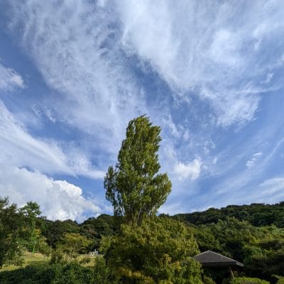 google pixel 9 で撮影した風景写真 | モバイル比較レビュー.jp Google Pixel 9 カメラ Google Pixel 9 で撮影した風景写真