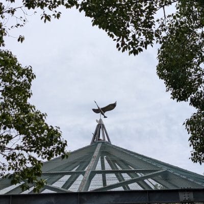 google pixel 9 で撮影した風景写真 | モバイル比較レビュー.jp Google Pixel 9 カメラ Google Pixel 9 で撮影した風景写真