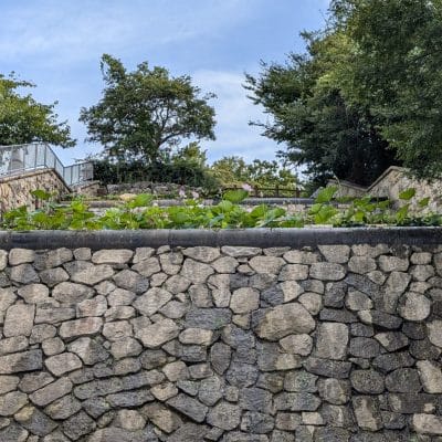 google pixel 9 でズーム撮影した風景写真 | モバイル比較レビュー.jp Google Pixel 9 カメラ Google Pixel 9 でズーム撮影した風景