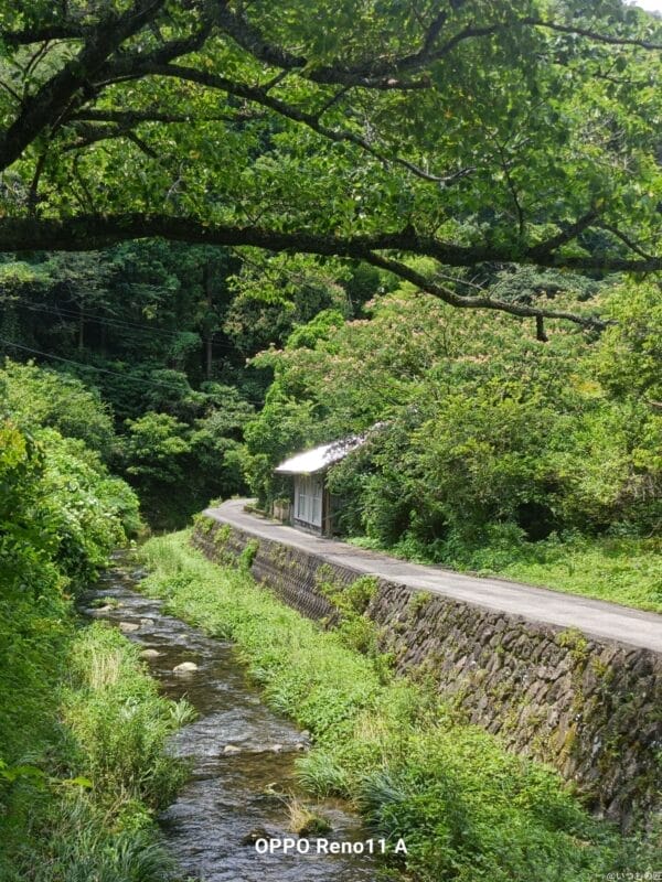 oppo reno11 a カメラでhdr撮影した写真 | モバイル比較レビュー.jp OPPO Reno11 A カメラ OPPO Reno11 AでHDR撮影した写真