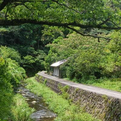 oppo reno11 a カメラでhdr撮影した写真 | モバイル比較レビュー.jp OPPO Reno11 A カメラ OPPO Reno11 AでHDR撮影した写真