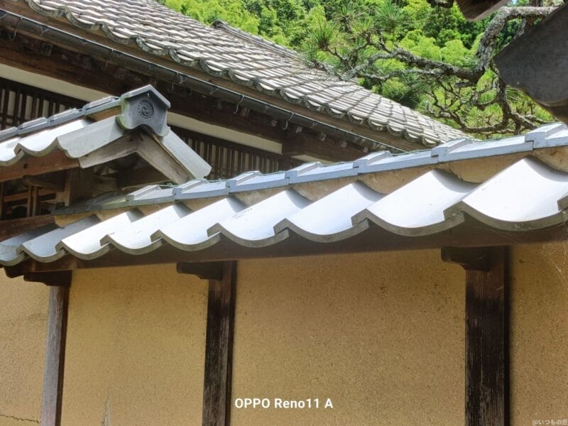 oppo reno11 a カメラでhdr撮影した写真 | モバイル比較レビュー.jp OPPO Reno11 A カメラ OPPO Reno11 AでHDR撮影した写真