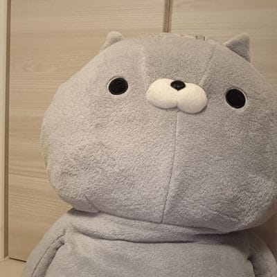 oppo reno11 a インカメラで撮影したぬいぐるみの写真 | モバイル比較レビュー.jp OPPO Reno11 A カメラ OPPO Reno11 Aのインカメラで撮影したぬいぐるみの写真