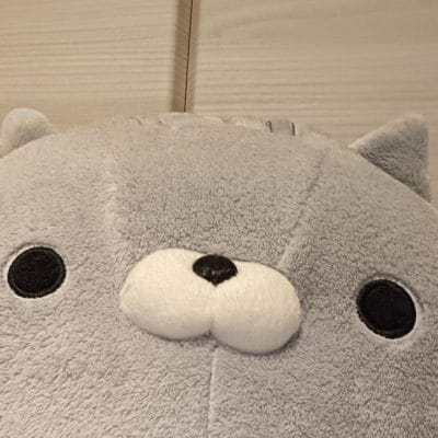 oppo reno11 a インカメラで撮影したぬいぐるみの写真 | モバイル比較レビュー.jp OPPO Reno11 A カメラ OPPO Reno11 Aのインカメラで撮影したぬいぐるみの写真