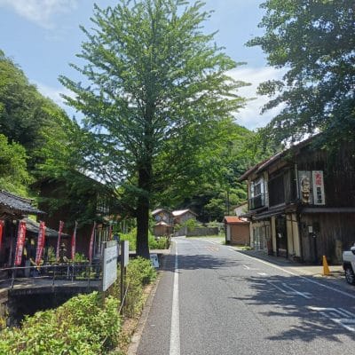 oppo reno11 a カメラ oppo reno11 a カメラの風景写真 | モバイル比較レビュー.jp OPPO Reno11 A カメラ OPPO Reno11 A カメラの風景写真