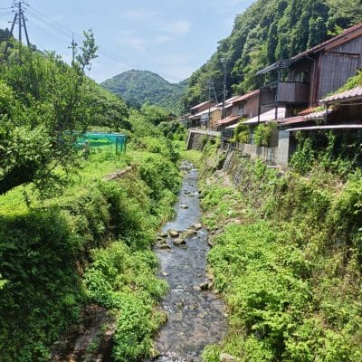 oppo reno11 a カメラ oppo reno11 a カメラの風景写真 | モバイル比較レビュー.jp OPPO Reno11 A カメラ OPPO Reno11 A カメラの風景写真