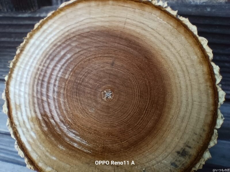 oppo reno11 a カメラでマクロ撮影した写真 | モバイル比較レビュー.jp OPPO Reno11 A カメラ OPPO Reno11 Aでマクロ撮影した写真