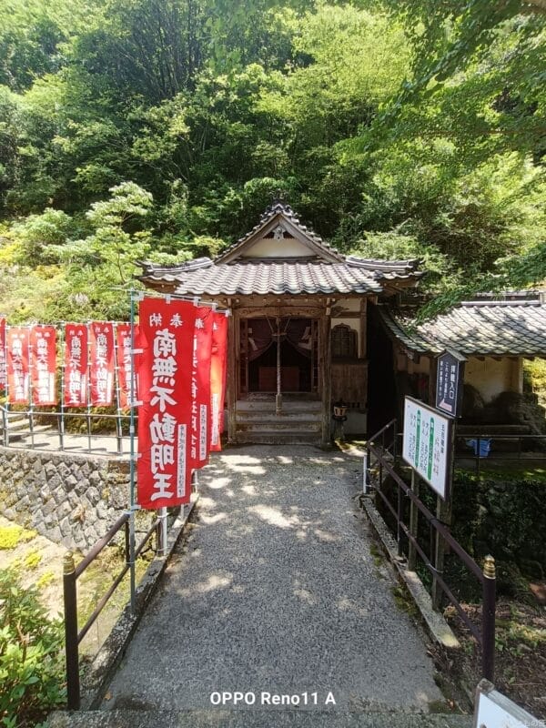 oppo reno11 a カメラ oppo reno11 a カメラの風景写真 | モバイル比較レビュー.jp OPPO Reno11 A カメラ OPPO Reno11 A カメラの風景写真