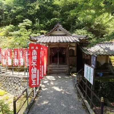 oppo reno11 a カメラ oppo reno11 a カメラの風景写真 | モバイル比較レビュー.jp OPPO Reno11 A カメラ OPPO Reno11 A カメラの風景写真