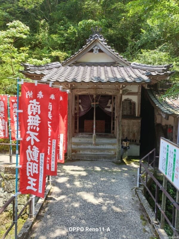 oppo reno11 a カメラ oppo reno11 a カメラの風景写真 | モバイル比較レビュー.jp OPPO Reno11 A カメラ OPPO Reno11 A カメラの風景写真