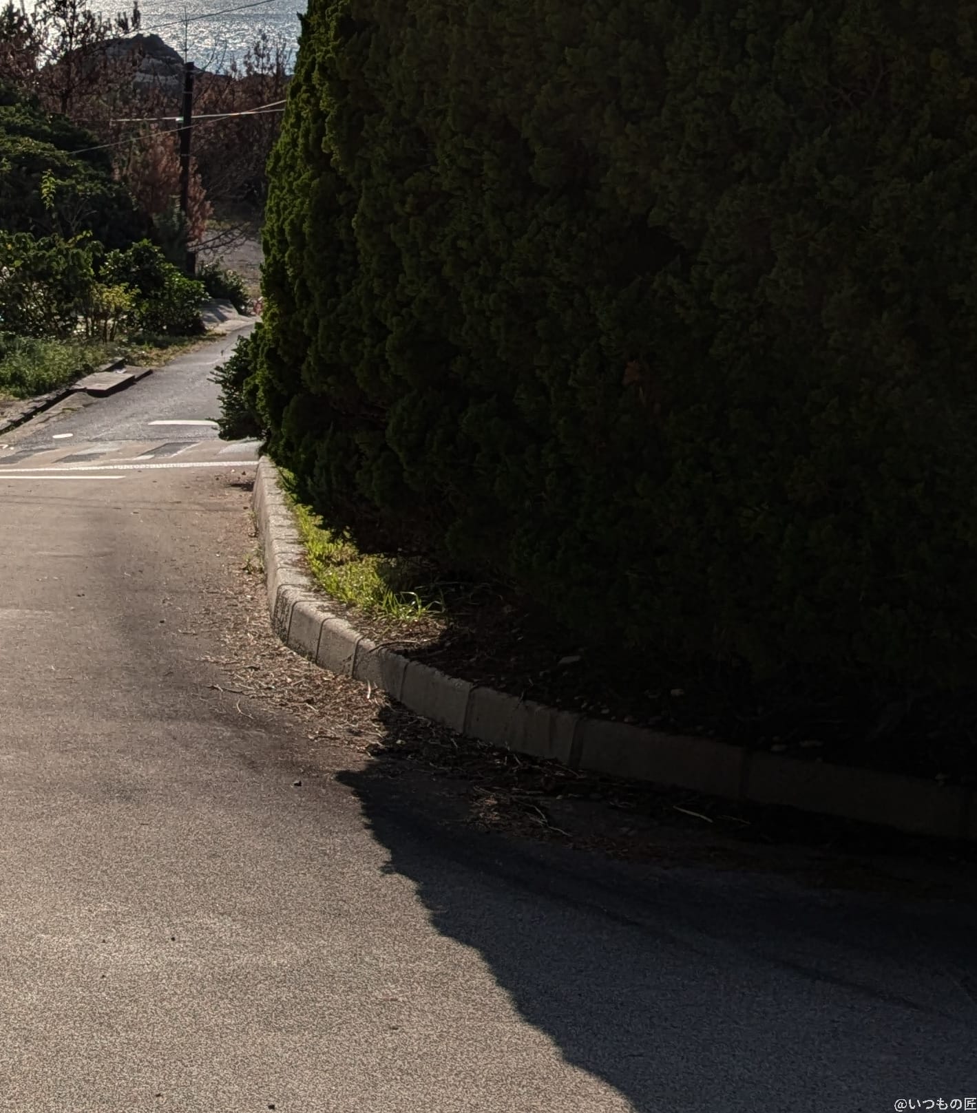 Google Pixel 8a カメラ
Google Pixel 8aでHDR撮影した風景写真