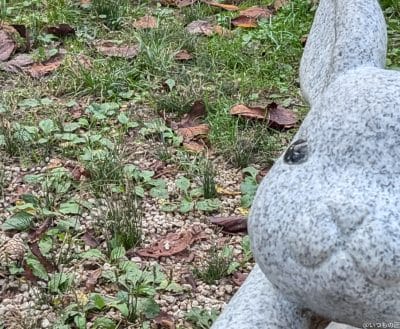 google pixel 8aのインカメラで撮影した写真 | モバイル比較レビュー.jp Google Pixel 8a カメラ Google Pixel 8aのインカメラで撮影した写真