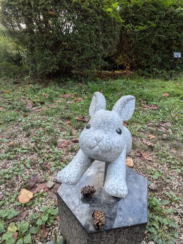 google pixel 8aのインカメラで撮影した写真 | モバイル比較レビュー.jp Google Pixel 8a カメラ Google Pixel 8aのインカメラで撮影した写真