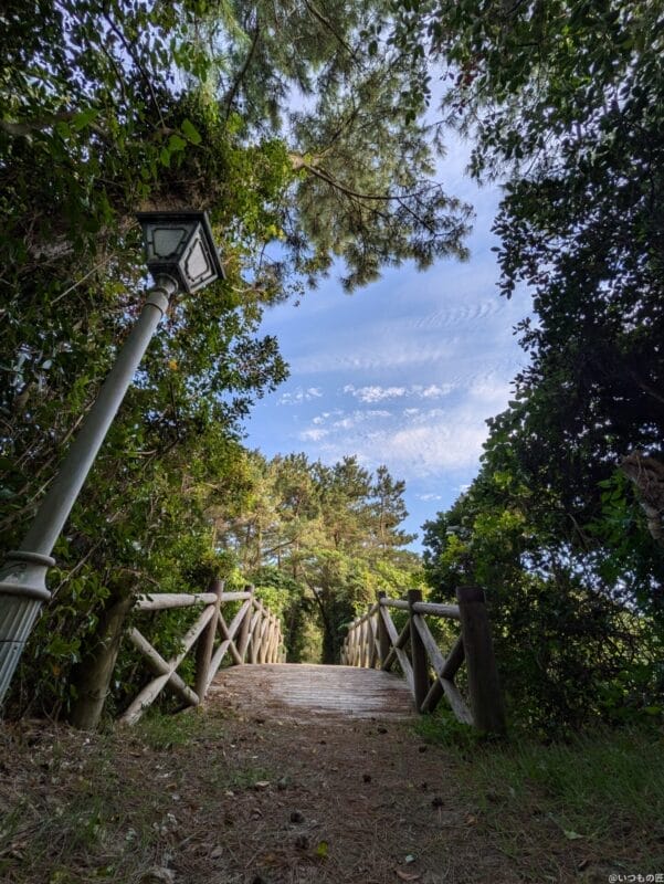 google pixel 8aで撮影した風景写真 | モバイル比較レビュー.jp Google Pixel 8a カメラ Google Pixel 8aで撮影した風景写真