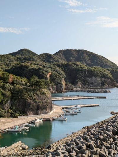 google pixel 8aで撮影した風景写真 | モバイル比較レビュー.jp Google Pixel 8a カメラ Google Pixel 8aで撮影した風景写真