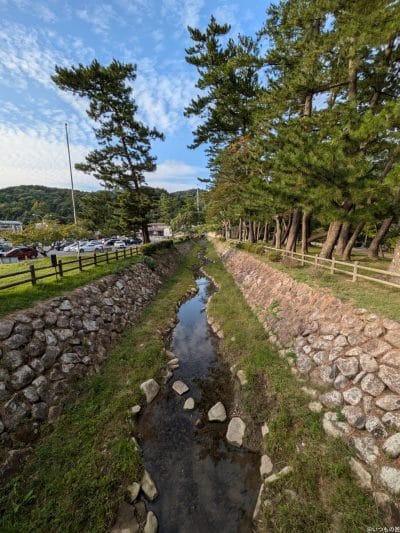 google pixel 8aで撮影した風景写真 | モバイル比較レビュー.jp Google Pixel 8a カメラ Google Pixel 8aで撮影した風景写真