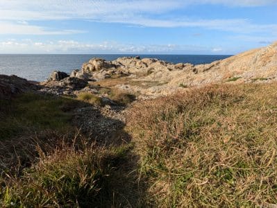 google pixel 8aで撮影した風景写真 | モバイル比較レビュー.jp Google Pixel 8a カメラ Google Pixel 8aで撮影した風景写真