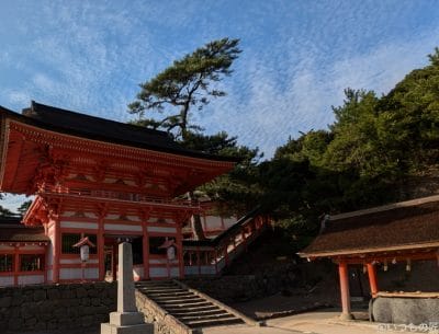 google pixel 8aでズーム撮影した写真 | モバイル比較レビュー.jp Google Pixel 8a カメラ Google Pixel 8aでズーム撮影した写真