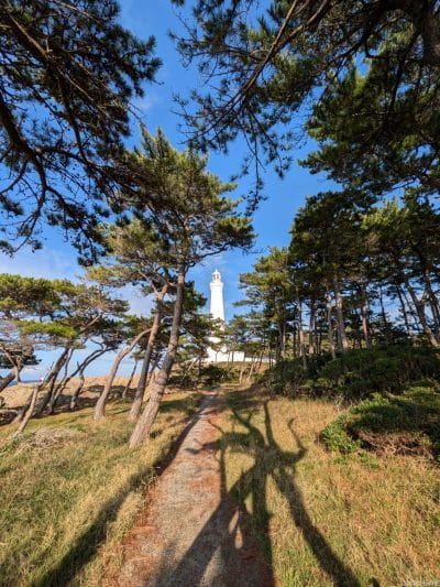 google pixel 8aでズーム撮影した写真 | モバイル比較レビュー.jp Google Pixel 8a カメラ Google Pixel 8aでズーム撮影した写真