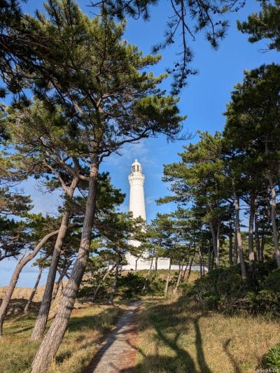 google pixel 8aでズーム撮影した写真 | モバイル比較レビュー.jp Google Pixel 8a カメラ Google Pixel 8aでズーム撮影した写真