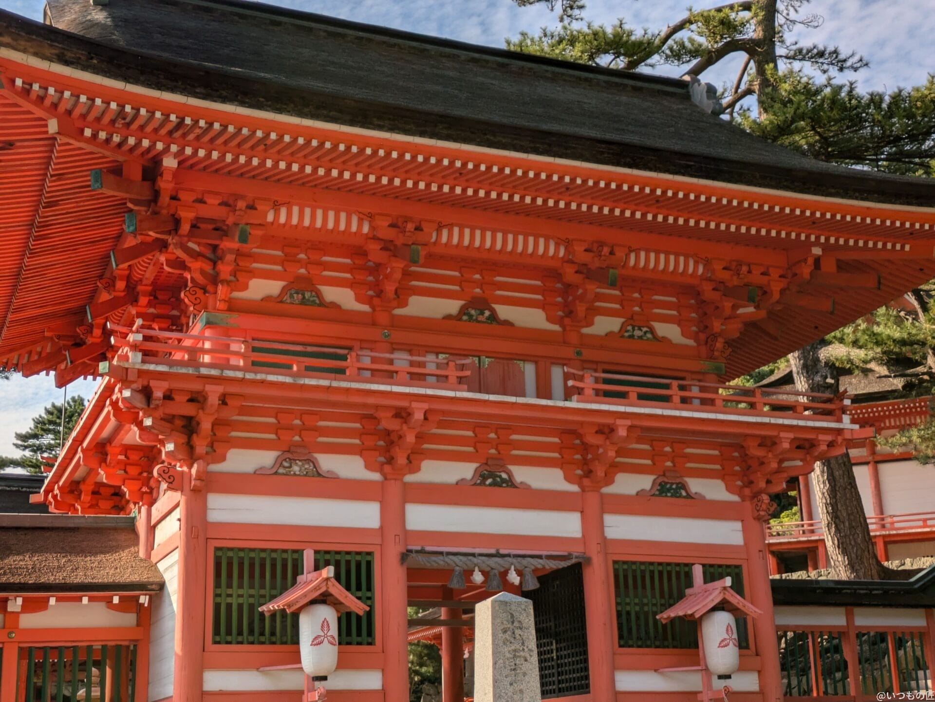 Google Pixel 8a カメラ
Google Pixel 8aでズーム撮影した写真