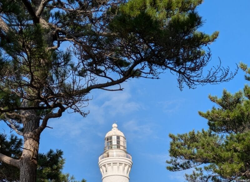 google pixel 8aでズーム撮影した写真 | モバイル比較レビュー.jp Google Pixel 8a カメラ Google Pixel 8aでズーム撮影した写真