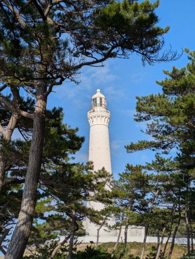 google pixel 8aでズーム撮影した写真 | モバイル比較レビュー.jp Google Pixel 8a カメラ Google Pixel 8aでズーム撮影した写真