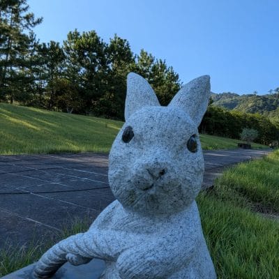 Google Pixel 9 Pro Fold カメラ Google Pixel 9 Pro Fold の外側前面カメラでズーム撮影した写真