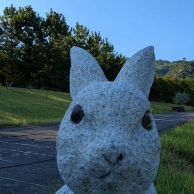 Google Pixel 9 Pro Fold カメラ Google Pixel 9 Pro Fold の外側前面カメラでズーム撮影した写真