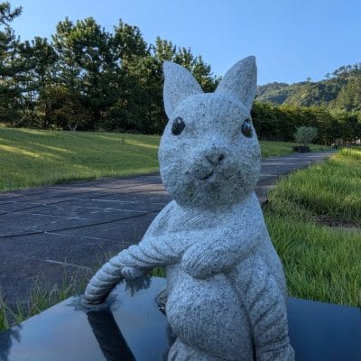 Google Pixel 9 Pro Fold カメラ
Google Pixel 9 Pro Fold の内側前面カメラでズーム撮影した写真