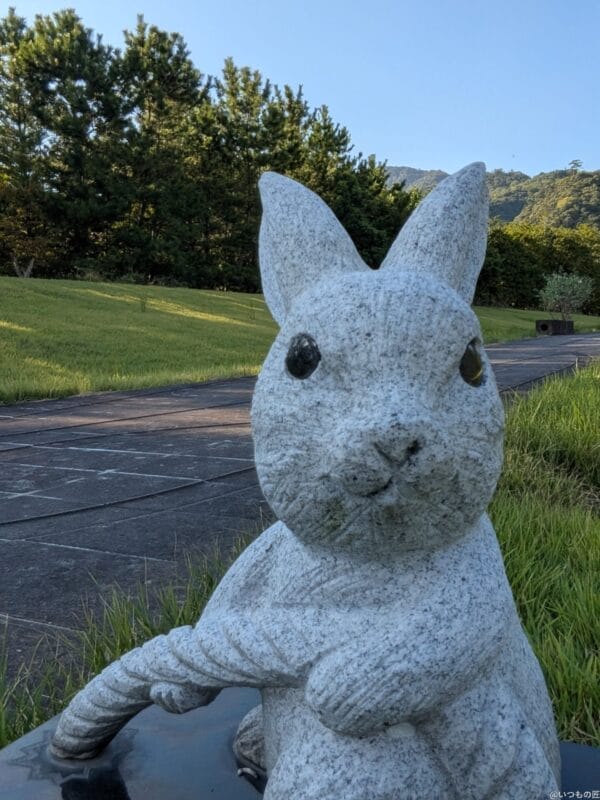 Google Pixel 9 Pro Fold カメラ
Google Pixel 9 Pro Fold の内側前面カメラでズーム撮影した写真