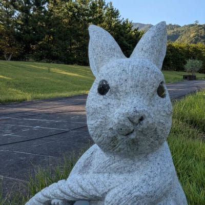 Google Pixel 9 Pro Fold カメラ
Google Pixel 9 Pro Fold の内側前面カメラでズーム撮影した写真